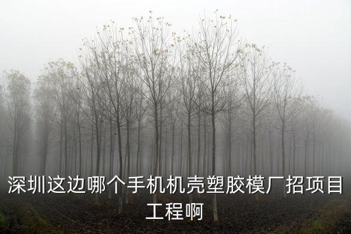 深圳市安興華塑膠制品有限公司，請問在深圳龍崗坪地這邊有哪些塑膠廠有的話請把地址或者電話發(fā)