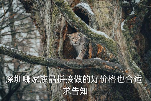 深圳哪家液晶拼接做的好價格也合適 求告知