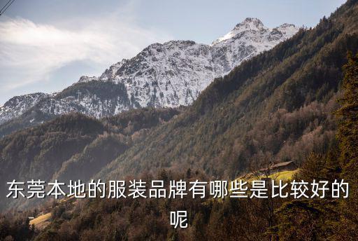 東莞本地的服裝品牌有哪些是比較好的呢