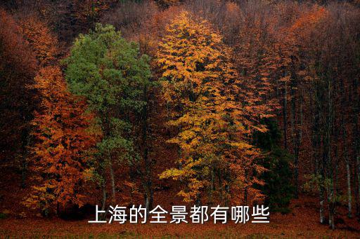 上海的全景都有哪些