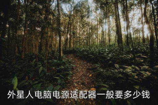 外星人電腦電源適配器一般要多少錢