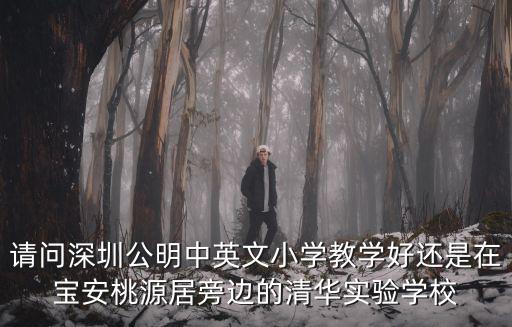 請(qǐng)問(wèn)深圳公明中英文小學(xué)教學(xué)好還是在寶安桃源居旁邊的清華實(shí)驗(yàn)學(xué)校
