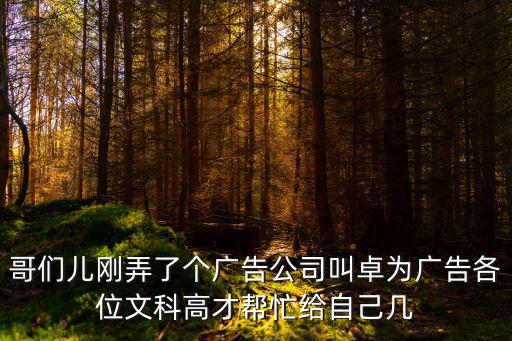 哥們兒剛弄了個廣告公司叫卓為廣告各位文科高才幫忙給自己幾