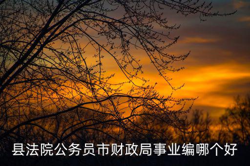 縣法院公務員市財政局事業編哪個好