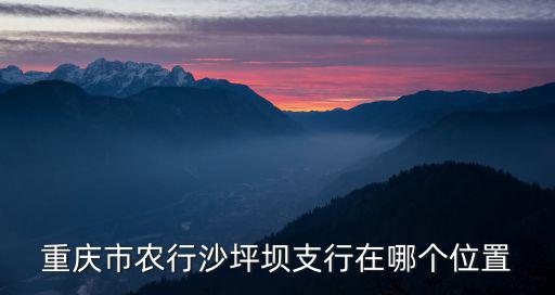 重慶市農(nóng)行沙坪壩支行在哪個(gè)位置