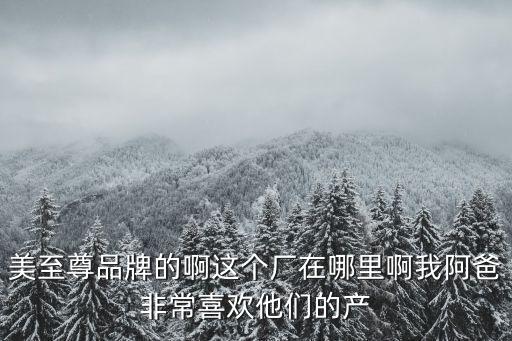 深圳市龍崗區布吉崗頭達星制品廠，深圳龍崗布吉有志達集團嗎