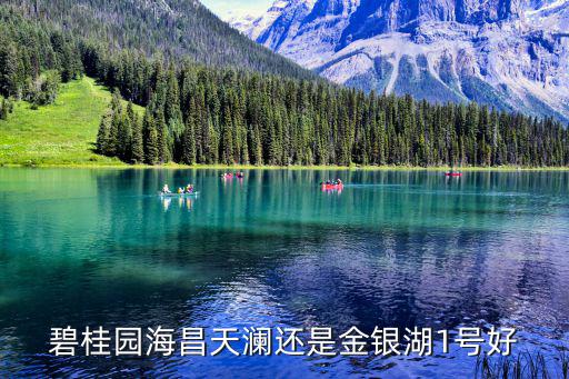 碧桂園海昌天瀾還是金銀湖1號好