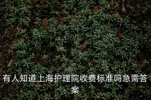 有人知道上海護理院收費標準嗎急需答案