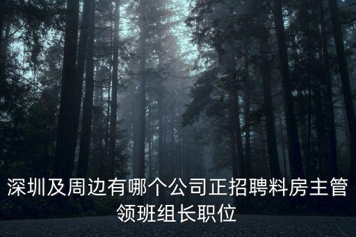 深圳及周邊有哪個公司正招聘料房主管領班組長職位