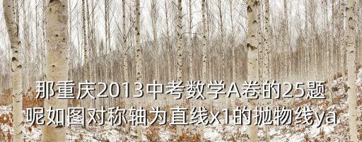2013年重慶市中考數學題，跪求重慶市近5年數學中考題請發在jeny0428126com中