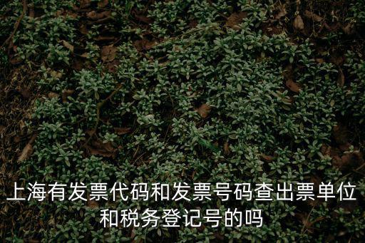 上海市發票信息查詢系統，上海市工商業限額統一發票