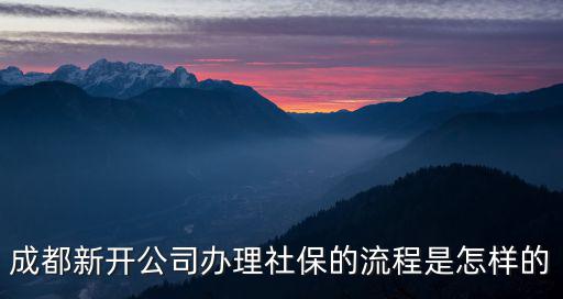 成都新開公司辦理社保的流程是怎樣的