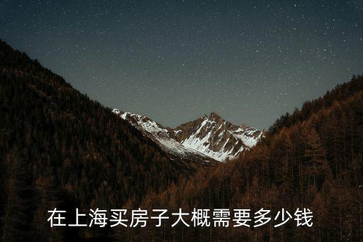 在上海買房子大概需要多少錢