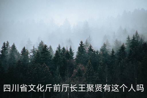 成都市文化局局長是誰，四川成都郫縣文體局局長是誰