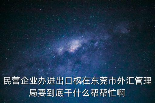 民營(yíng)企業(yè)辦進(jìn)出口權(quán)在東莞市外匯管理局要到底干什么幫幫忙啊