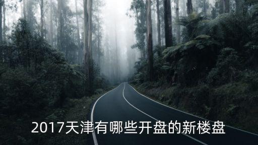 2017天津有哪些開盤的新樓盤