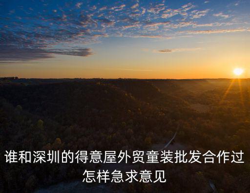 深圳得意屋，誰和深圳的得意屋外貿童裝批發合作過怎樣急求意見