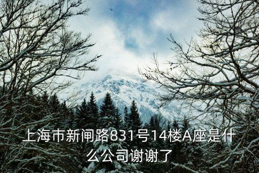 上海市新閘路831號14樓A座是什么公司謝謝了