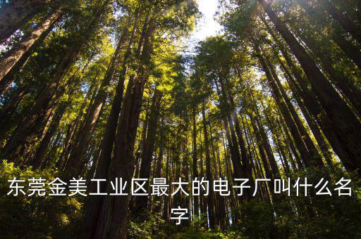 東莞金美工業區最大的電子廠叫什么名字
