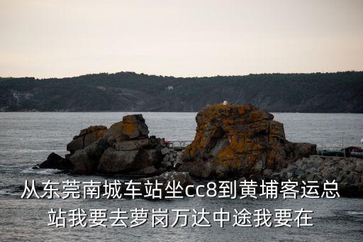 從東莞南城車站坐cc8到黃埔客運總站我要去蘿崗萬達(dá)中途我要在