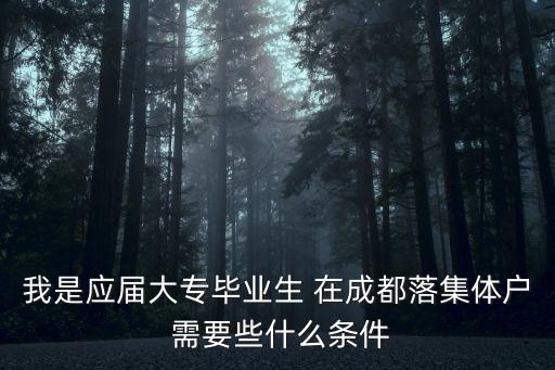 成都市大專落戶政策，我是應屆大專畢業生 在成都落集體戶 需要些什么條件