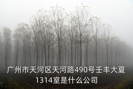 廣州市天河區天河路490號壬豐大夏1314室是什么公司
