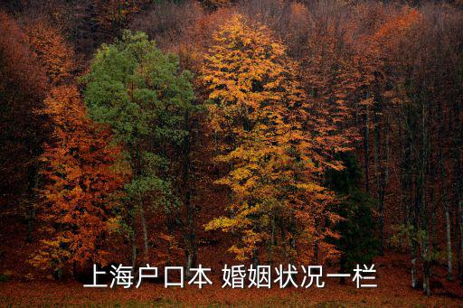 上海戶口本 婚姻狀況一欄
