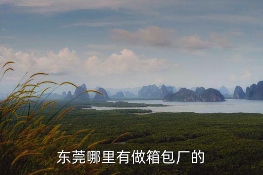 東莞哪里有做箱包廠的