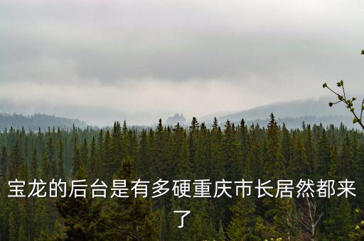 寶龍的后臺是有多硬重慶市長居然都來了