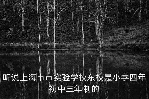 上海市實驗學校東校，聽說上海市市實驗學校東校是小學四年初中三年制的