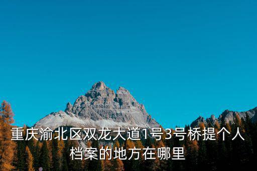 重慶渝北區雙龍大道1號3號橋提個人檔案的地方在哪里