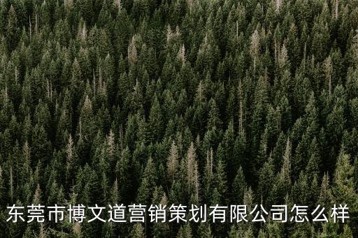 東莞市博文道營銷策劃有限公司怎么樣