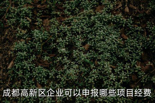 成都高新區(qū)企業(yè)可以申報(bào)哪些項(xiàng)目經(jīng)費(fèi)