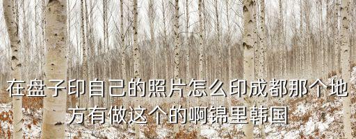 在盤子印自己的照片怎么印成都那個地方有做這個的啊錦里韓國
