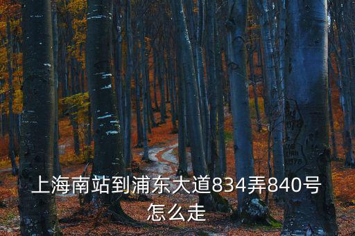 上海南站到浦東大道834弄840號怎么走