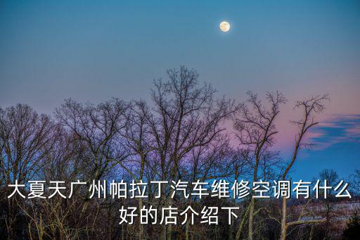 大夏天廣州帕拉丁汽車維修空調有什么好的店介紹下