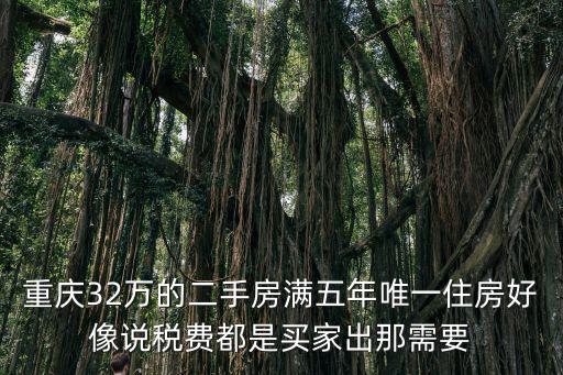 重慶32萬的二手房滿五年唯一住房好像說稅費都是買家出那需要