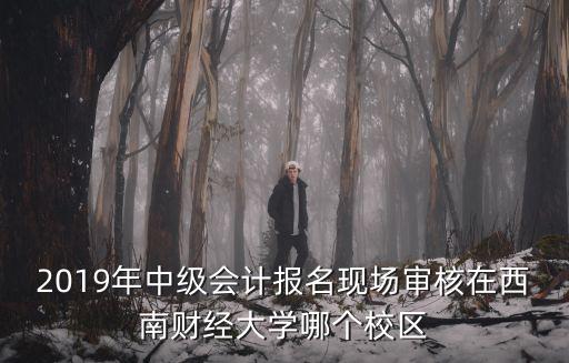 2019年中級會計報名現場審核在西南財經大學哪個校區