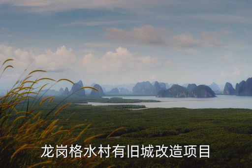 龍崗格水村有舊城改造項目