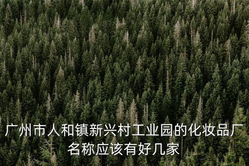 廣州市人和鎮新興村工業園的化妝品廠名稱應該有好幾家