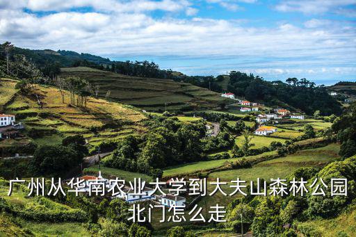 廣州華農北門，廣州哪里打真人cs
