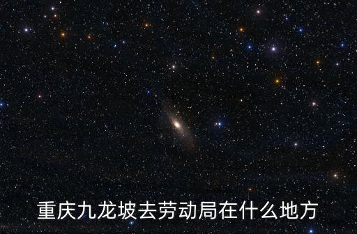 重慶九龍坡去勞動局在什么地方