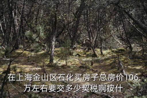 在上海金山區石化買房子總房價106萬左右要交多少契稅啊按什