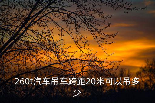 260t汽車吊車跨距20米可以吊多少