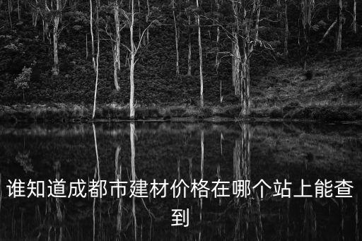 誰知道成都市建材價格在哪個站上能查到