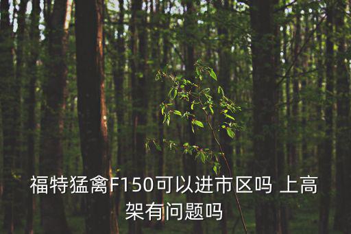 福特猛禽F150可以進市區嗎 上高架有問題嗎