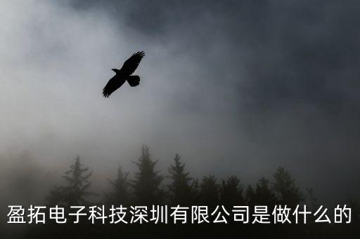 盈拓電子科技深圳有限公司是做什么的