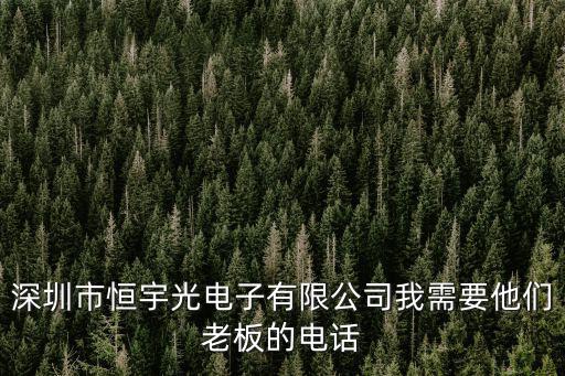 深圳市恒宇光電子有限公司我需要他們老板的電話