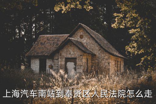 上海汽車南站到奉賢區人民法院怎么走