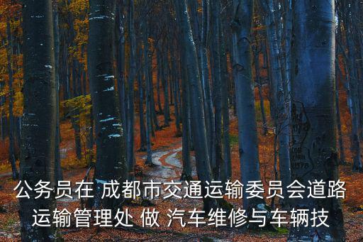 公務員在 成都市交通運輸委員會道路運輸管理處 做 汽車維修與車輛技